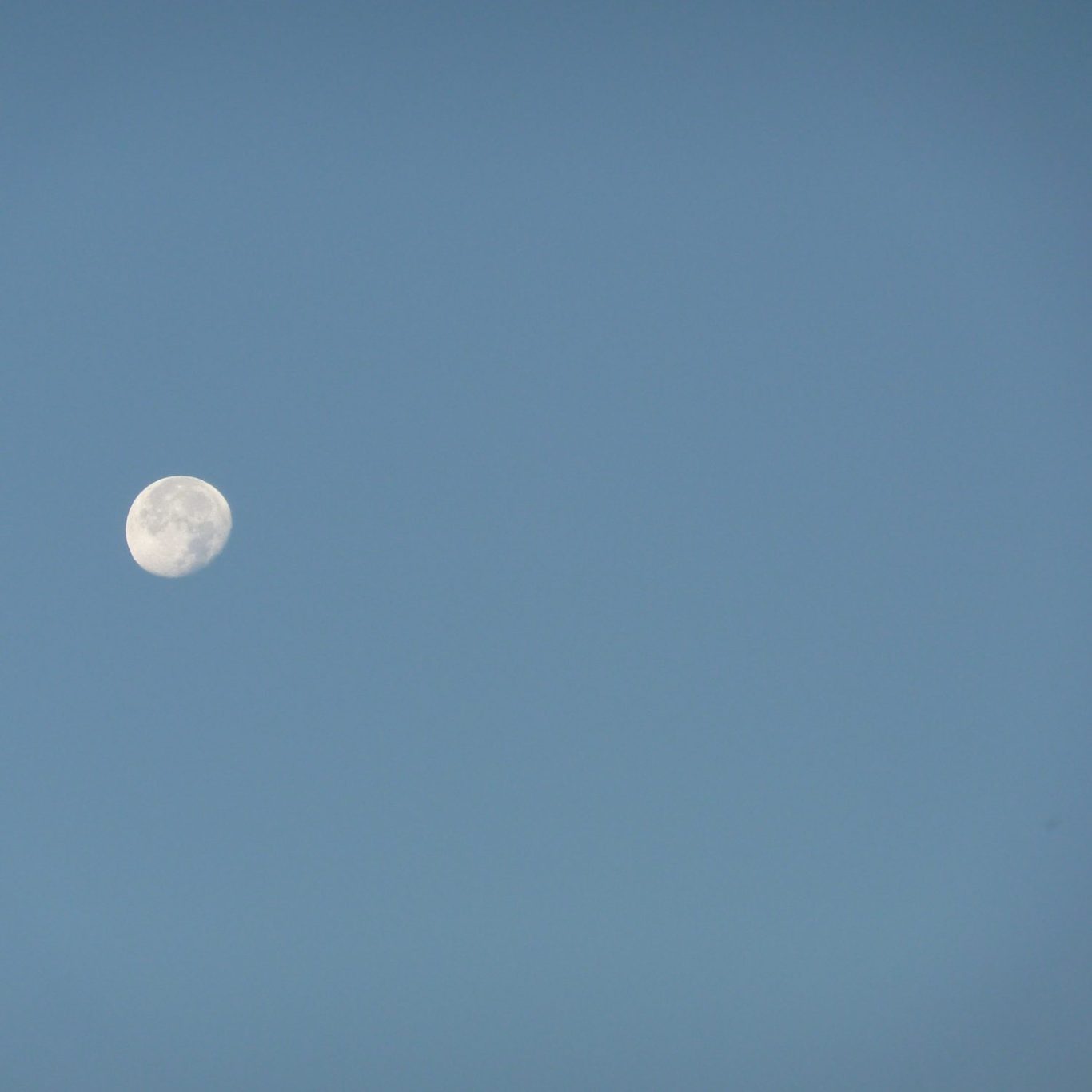 Fast Vollmond. Foto von Birgit Mills Fast Vollmond. Foto von Birgit Mills