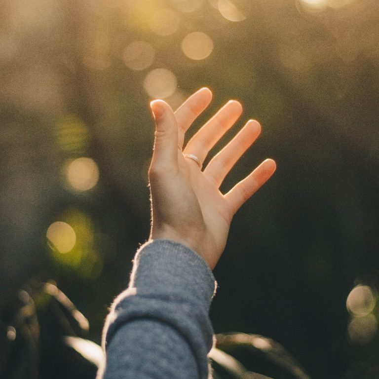 Fotograf dev-222588- via unsplash