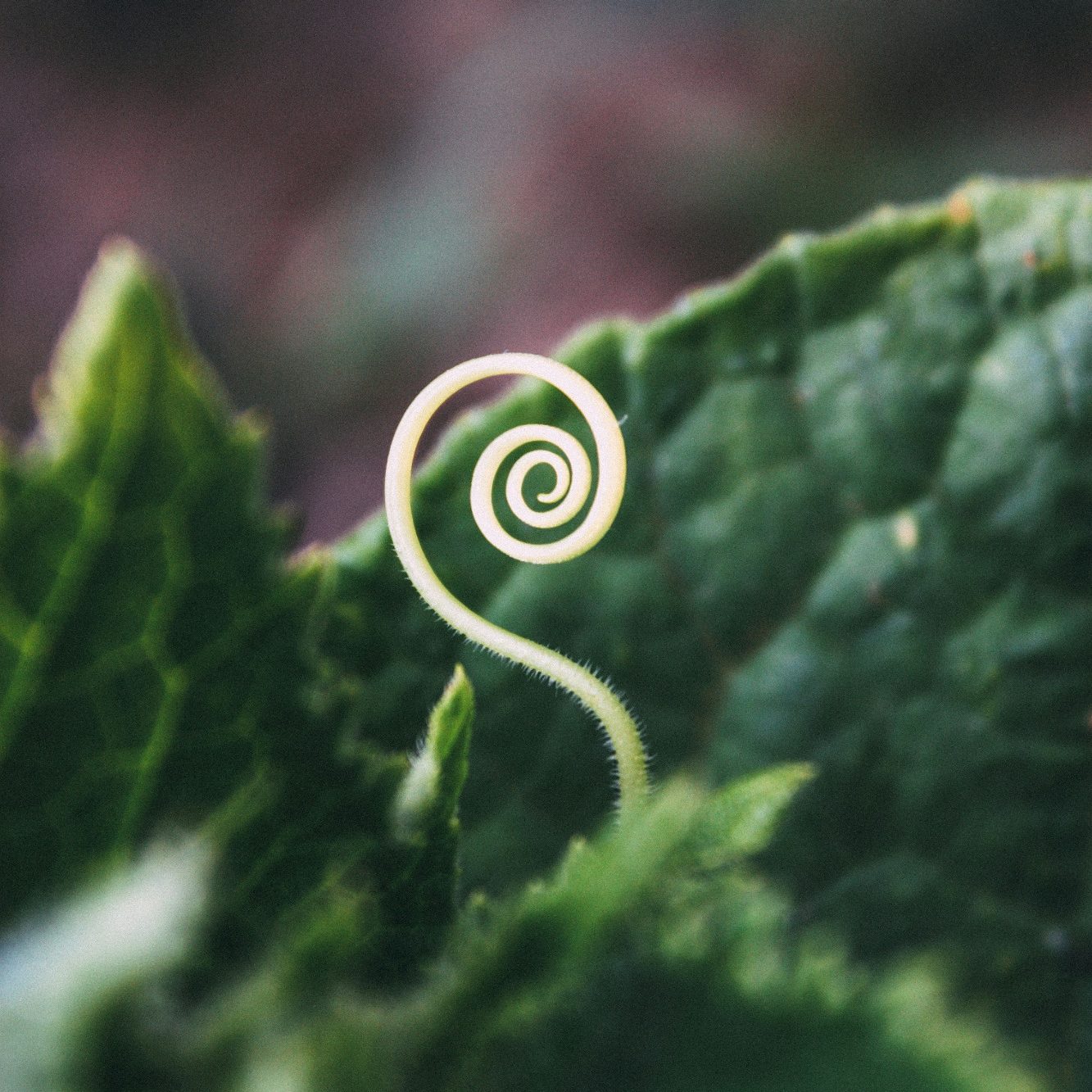 Foto unsplash: Bogomil Bihay