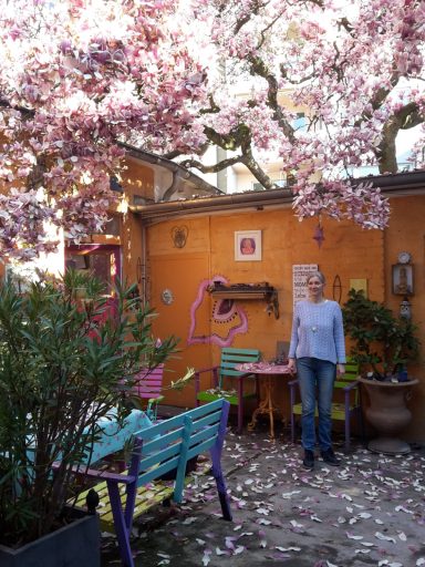 Blütenmeer Unter dem Magnolienbaum