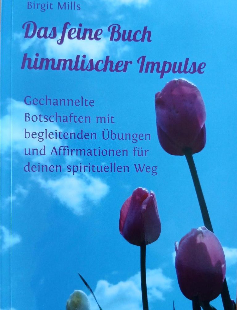 Coveransicht Buch Birgit Mills