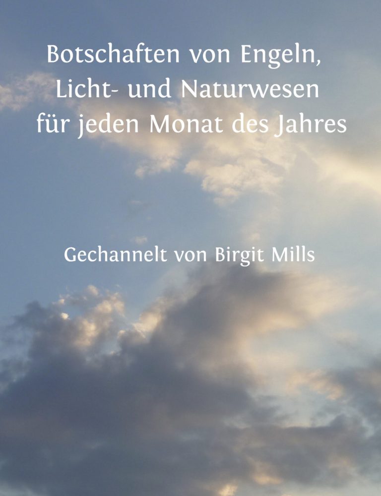 Coveransicht Buch Birgit Mills